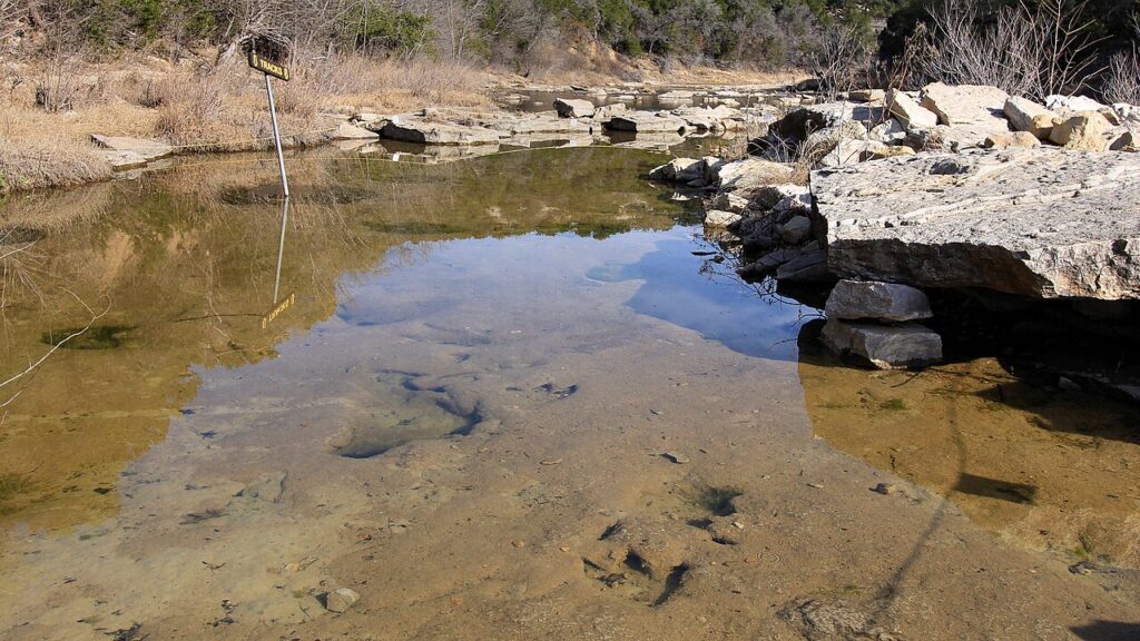 Dinosaur trackways in the Paluxy River at Dinosaur Valley State Park in Texas