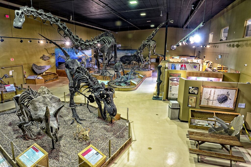 Mounted dinosaur skeletons inside the Wyoming Dinosaur Center in Thermopolis
