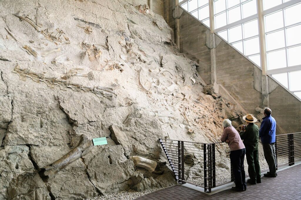 Visitors viewing the Wall of Bones inside the Quarry Exhibit Hall at Dinosaur National Monument