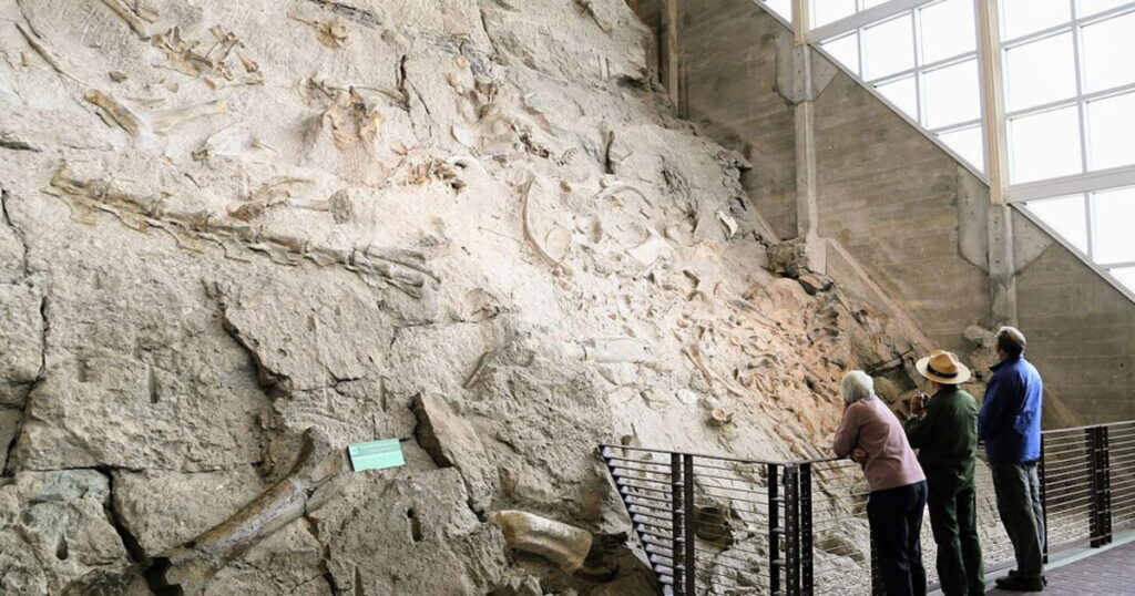 Visitors viewing the Wall of Bones at Dinosaur National Monument